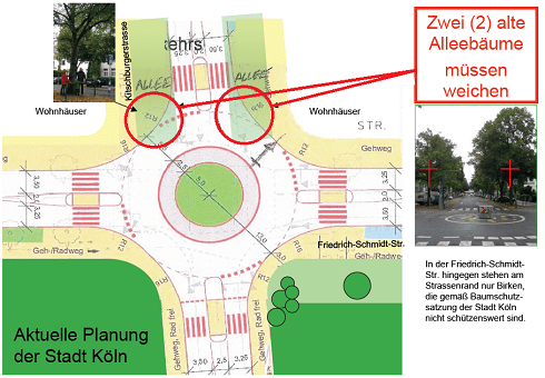 Diese Bäume bewahren